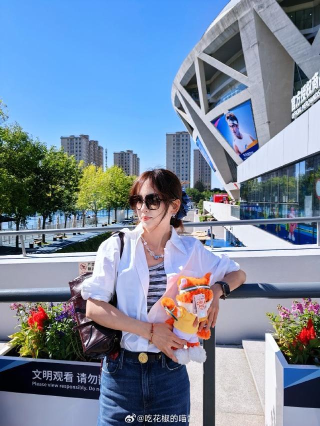 公海贵宾会官网图片展示