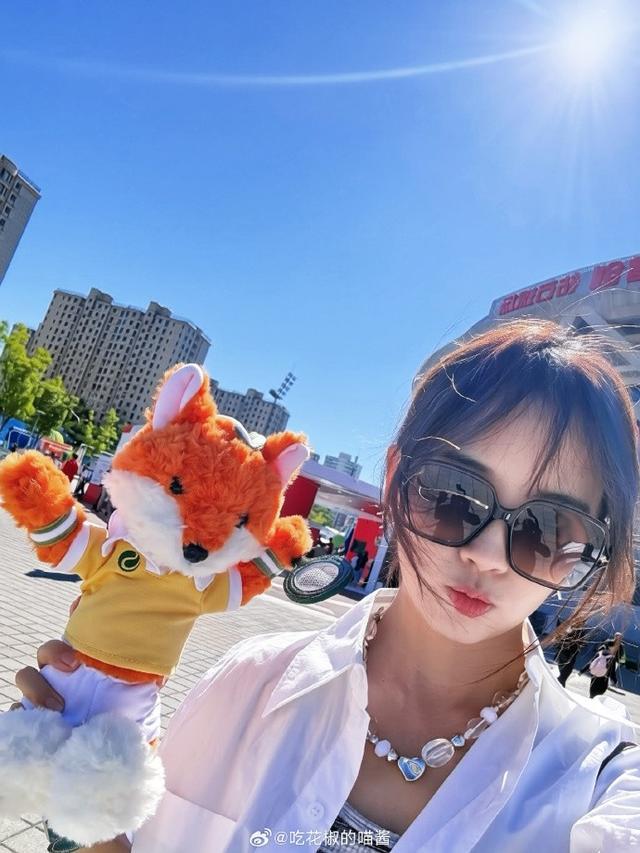 公海贵宾会官网展示图片