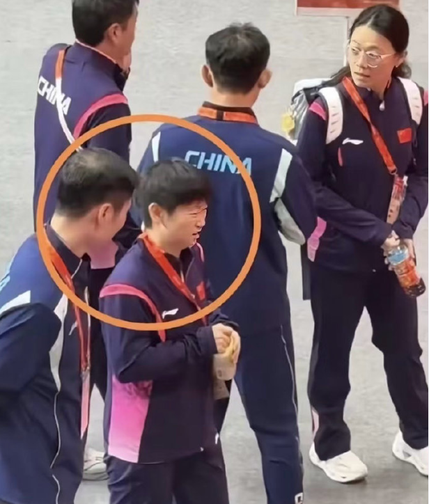 公海贵宾会官网展示图片