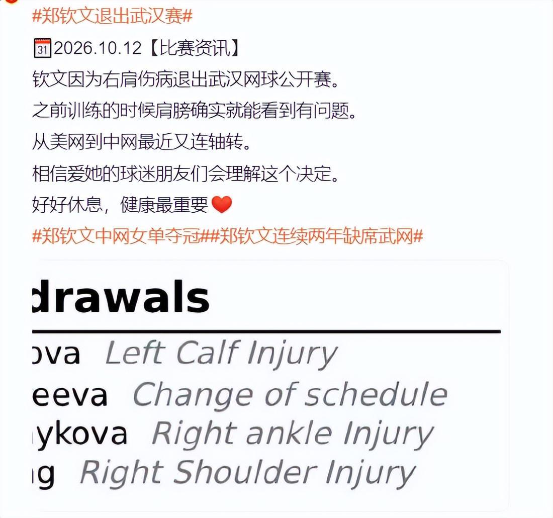 了解公海贵宾会官网